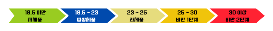 bmi 그래프