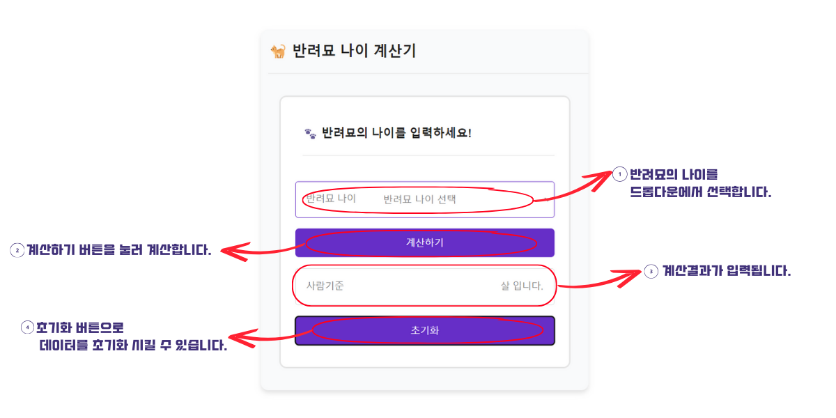 고양이 나이 계산기 사용방법