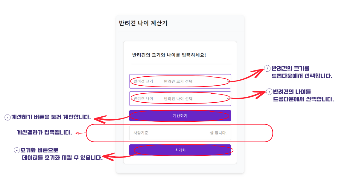 반려견 나이 계산기 사용방법