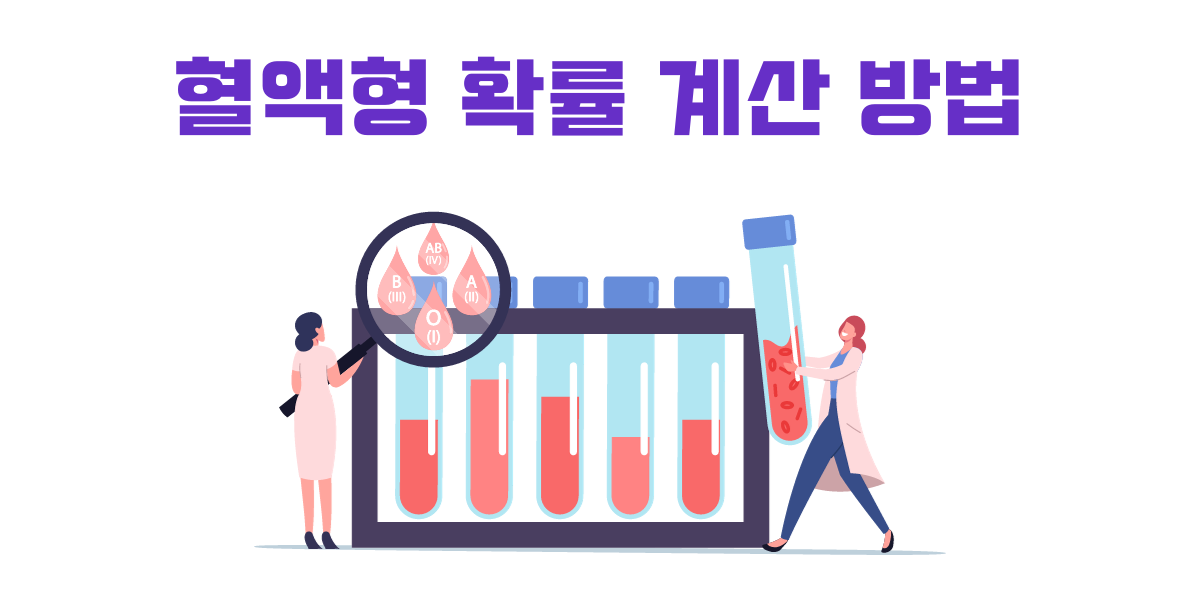아기 혈액형 확률 계산 방법